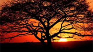 Você é assim um sonho pra mim