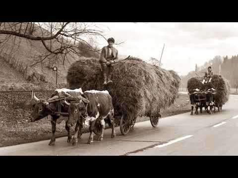 Slatina de Criș - Documentar