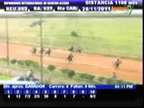 Resumen lunes, 28 de Noviembre de 2011 - Rancho Alegre