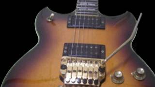 BAD CHICKEN ： 高中正義　（コピー）