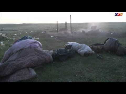 Tragedie în satul constantean Nisipari - Litoral TV