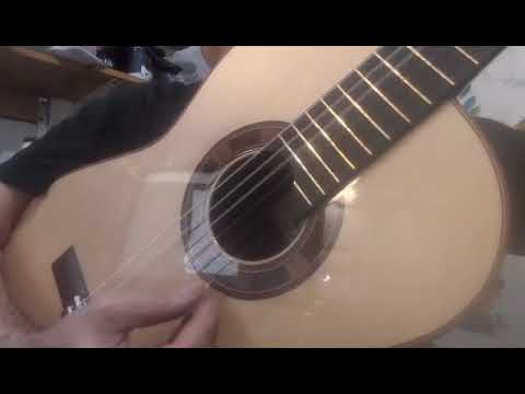 Steve Allen #62 classical guitar image 17