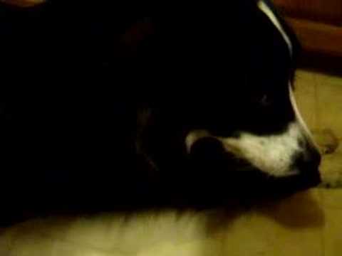 Happy Birthday Annalisha!!