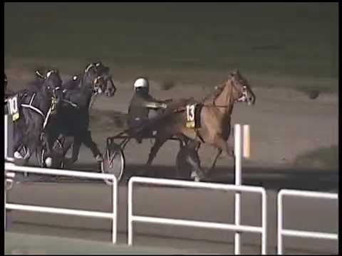 Trotto 08/01/2015 - 8° corsa - TRIS