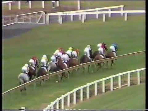 1991 Canterbury Cup