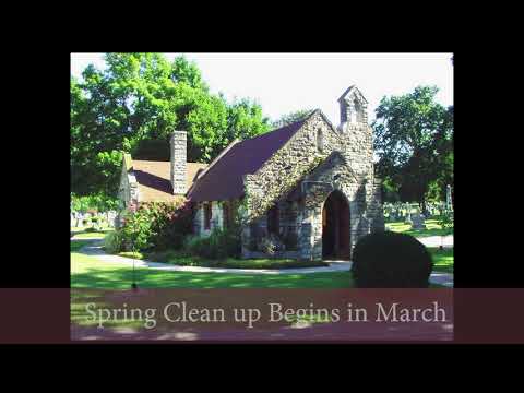 Spring Clean Up