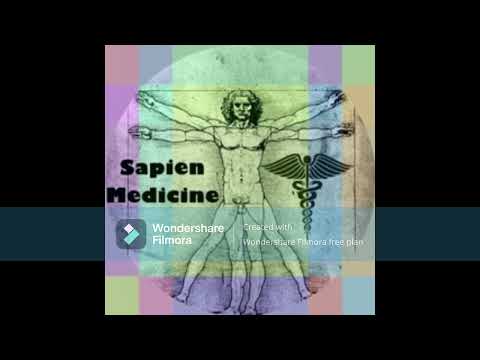 Sapien Medicine's Masculine Energy