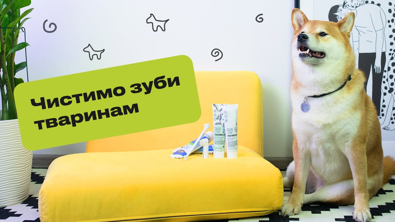 YouTube video preview