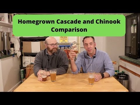 Brewing with Homegrown Cascade Hops