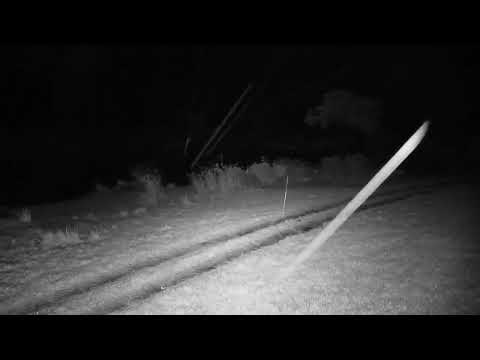Djuma: Sights and sounds with the rain - 19:33 - 09/27/2023