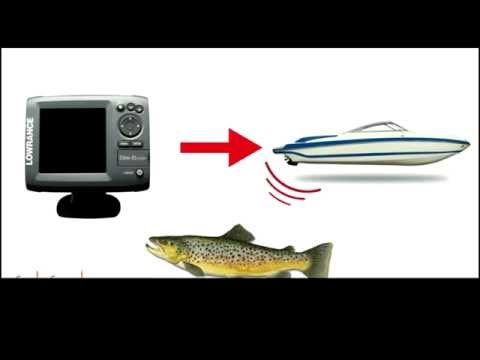 YouTube video about: What is a fish finder?