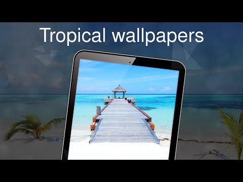 Tropical wallpapers 4k Video