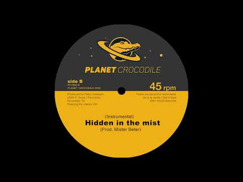 Hidden in the mist (Prod. Pablo Beter)