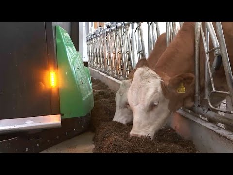 , title : 'Moderner Bauernhof: Stall-Roboter füttert Kühe'