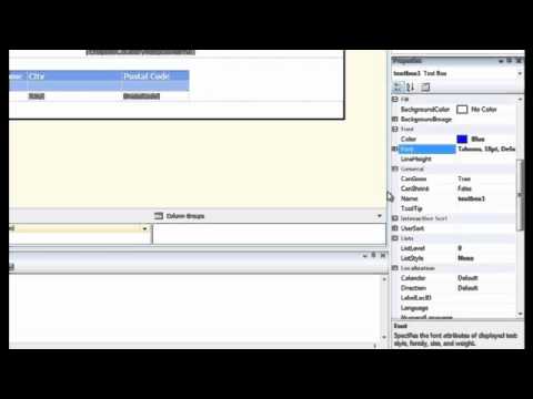 SSRS 2008 - Report Basics -- Formatting - Part 2