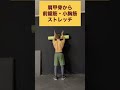 ストレッチポールは…だけじゃない#shorts #stretching #ストレッチ #筋トレ #腹筋 #core