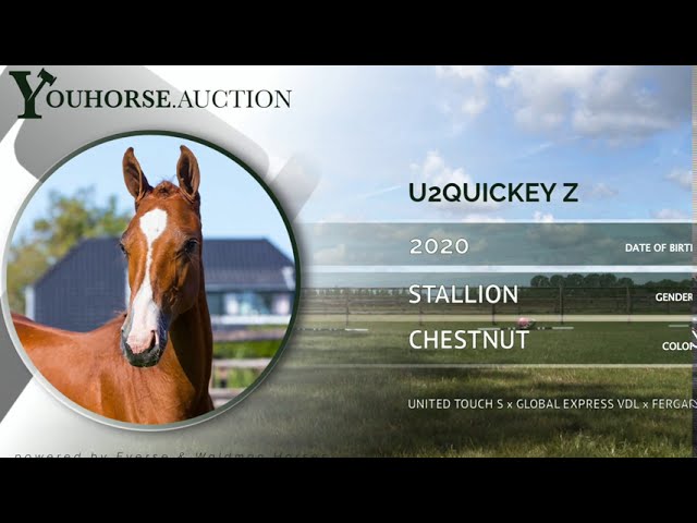 U2Quickey Z