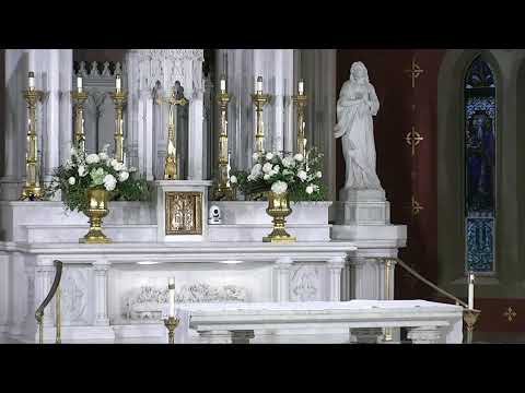 2021 1018 HNJ Daily Morning Mass - Feast of Saint Luke, evangelist