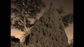 Killing Joke - Inside The Termite Mound