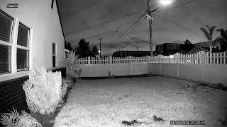 Black and White image capture at Night time