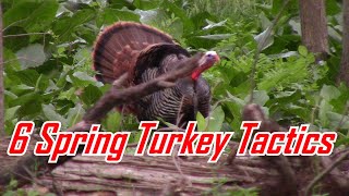6 Spring Turkey Hunting Tactics To Get a Big GOBBLER