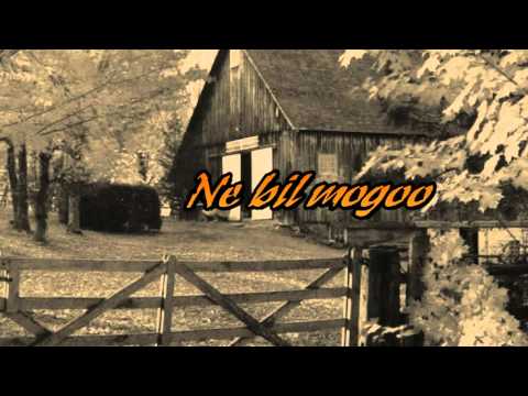 Zvonko Bogdan-Milovo sam garave i plave Tekst