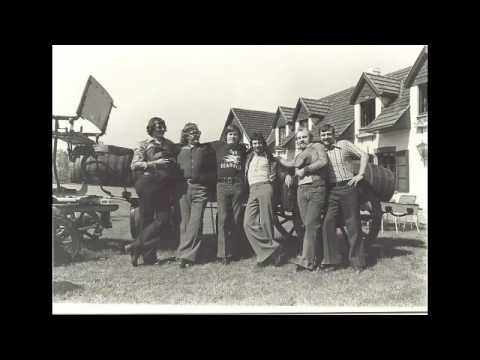 The Seagulls SATISFIED1981