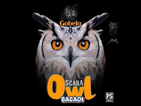Scara boy the magic - Owl