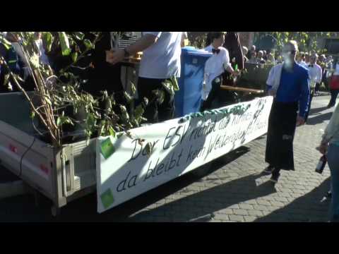 Kirmes Bebra-Weiterode Festzug Festumzug 2014 (19.10.14)