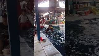 Download lagu waow seru sekali renangya wening kayyisa mp3 Download lagu waow seru sekali renangya wening kayyisa mp3