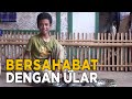 Anak Ini Sudah Bersahabatan Dengan Ular Sejak Kecil JELANG SIANG
