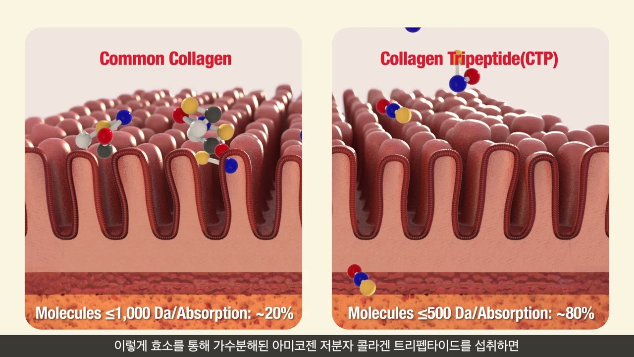 기술영상 캡쳐
