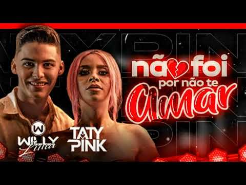 Willy lima feat. Taty pink- não foi por não te amar