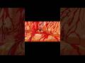 AKIRA 1988 Anime Akira Tetsuo MiketendoPower
