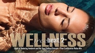 Wellness Freebeat 2(Best of Relaxing Ambient and Nu Spa Chillout Sounds) Relax Mix Full HD