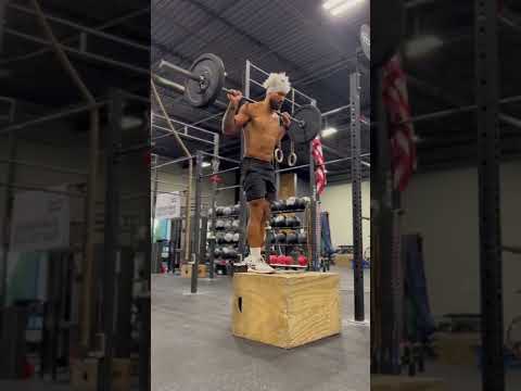 Barbell Box Step Up