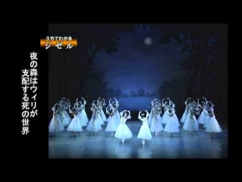 ジゼル・ド・フェイイについて詳しく解説