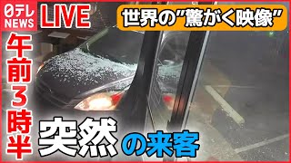Download lagu 【世界の驚がく映像ライブ】車が“横転”し対向車線に…/2歳の女の子が“宙づり”　絶体絶命…　など―World Heart Stopping Moments (日テレNEWS LIVE) mp3