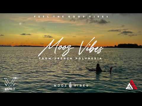 CETTE FILLE - ( Styx 687 X METROSS ) 2024