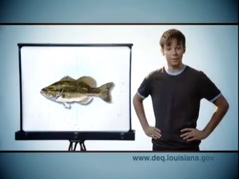 Mercury Awareness: Prevention & Protection