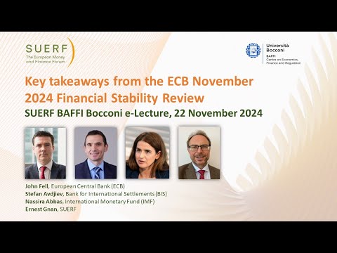 ECB Financial Stability Review November 2024 - SUERF e-lecture - 20241122