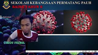 Download lagu SAINS TAHUN 6 MIKROORGANISMA TOPIK 3   KSSR  3.1 Mikroorganisma ialah benda hidup mp3