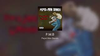 Cover art for P.M.B