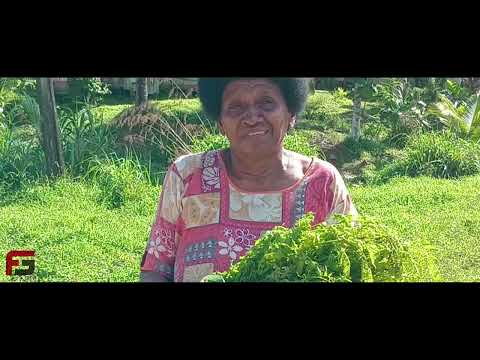 Voqa Domoni Kei Lewayasi - Noqu Koro ( Official Music Video )