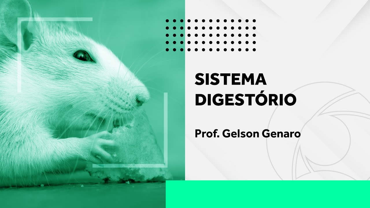 Sistema Digestório