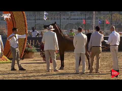 N.94 D SHAKHAT - Menton 2019