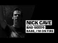 Nick Cave & The Bad Seeds - Babe, I'm On Fire