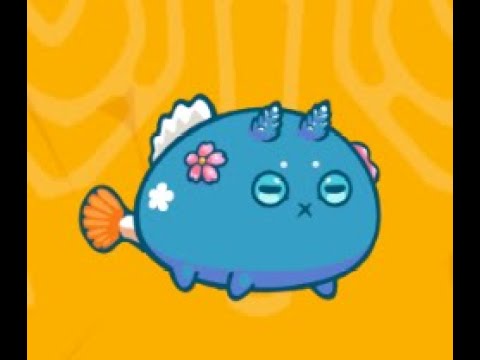 5 Axie Infinity Bone Sail + Bumpy + Axie Kiss(Ivory Chop + Overgrow Keratin + Death Mark) META BUILD