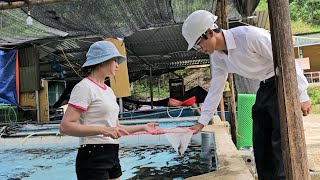 Download lagu The young girl returned from abroad, fortunate to have a job thanks to the engineer. mp3 Download lagu The young girl returned from abroad, fortunate to have a job thanks to the engineer. mp3