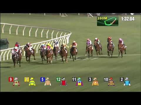 14/4/2021 (585) Success Allstars - V Borges